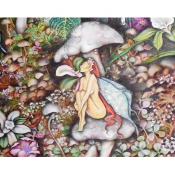 Mushroom Haven